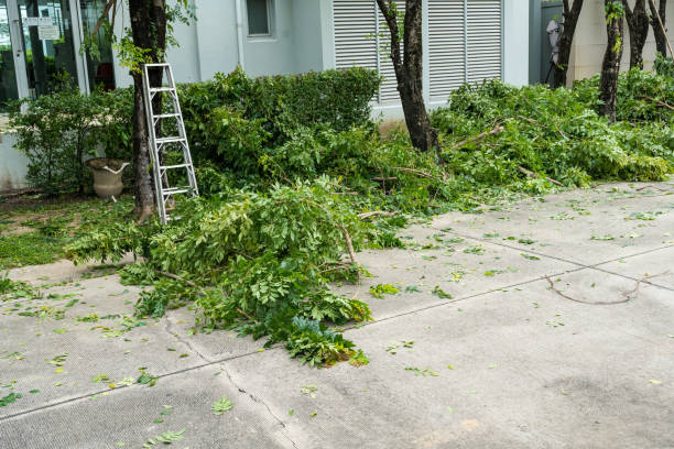 Leaf Removal in Wisner, NE